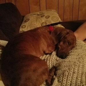 Meet your Posher, Jared